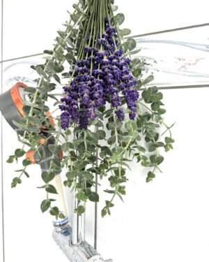 Natural Eucalyptus-Lavender Shower Bundle
