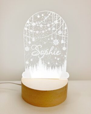 Customized Snow Dome Light